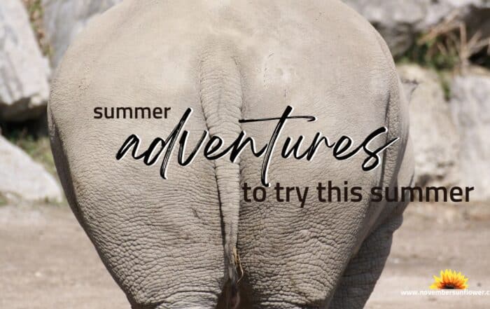 unique summer adventures