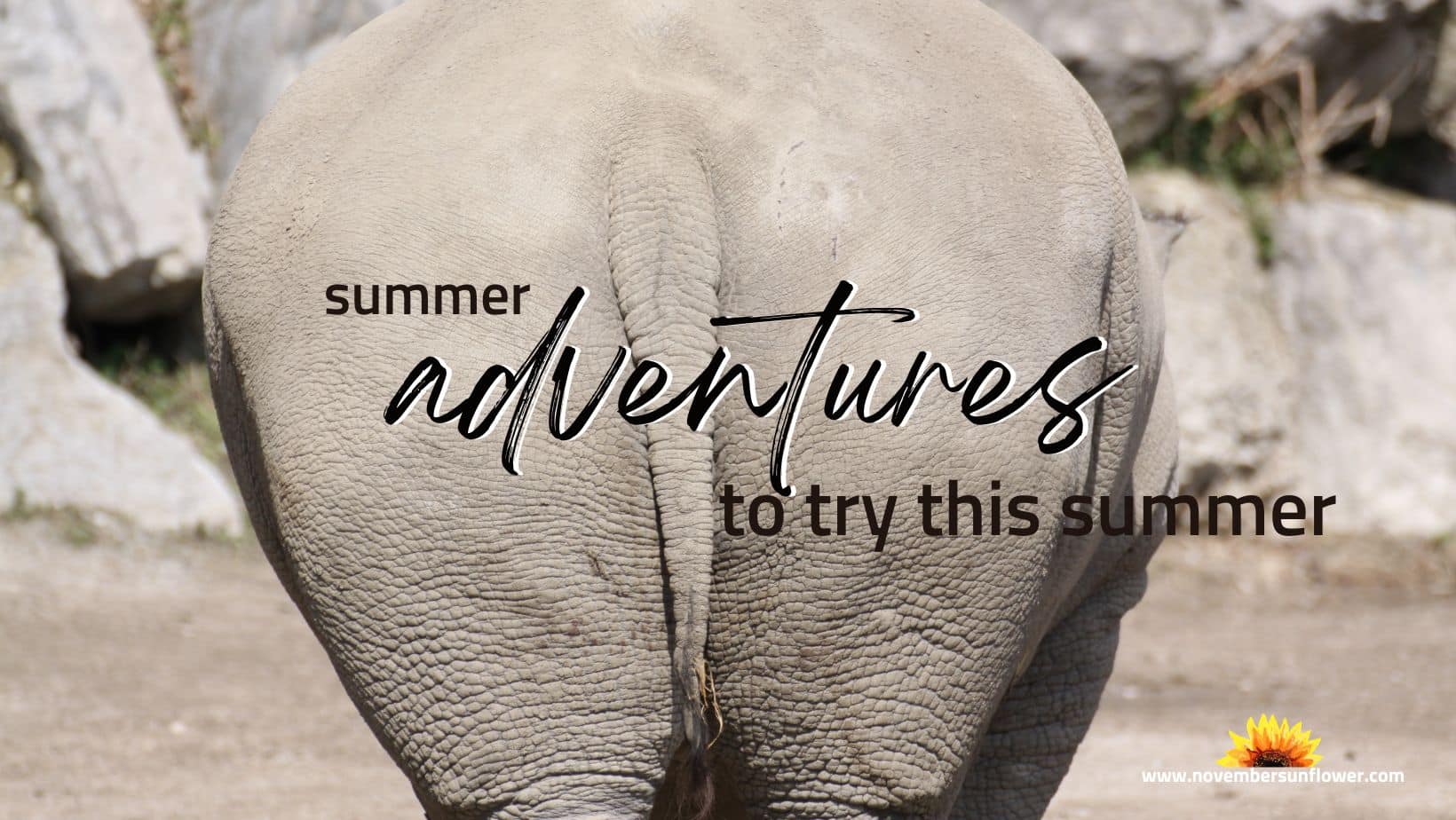 unique summer adventures