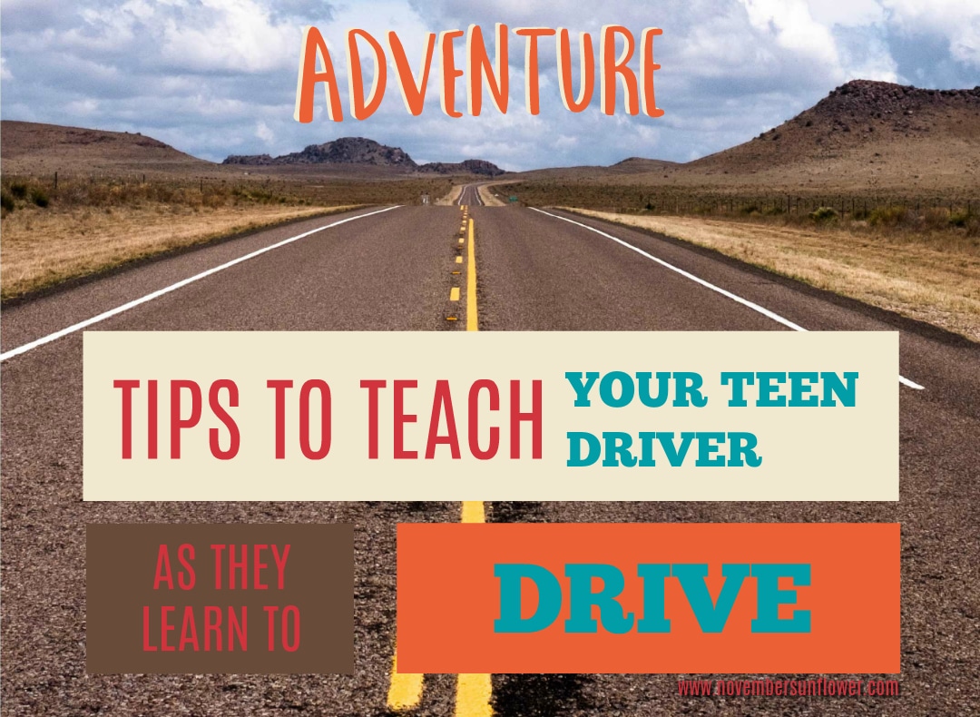 roadway into the mountains - teach your teen driver