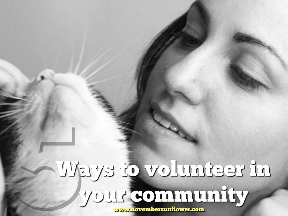 black and white image of cat and woman 5 Ways to volunteer in your community